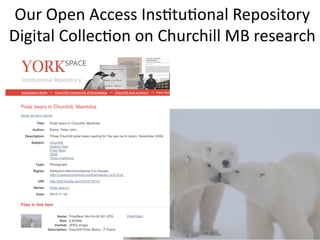Our	
  Open	
  Access	
  InsMtuMonal	
  Repository	
  
Digital	
  CollecMon	
  on	
  Churchill	
  MB	
  research	
  
38	
  
 