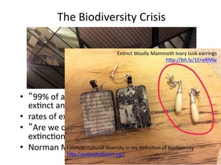 The	
  Biodiversity	
  Crisis	
  
•  “99%	
  of	
  all	
  species	
  that	
  have	
  existed	
  are	
  
exMnct	
  and…	
  	
  
•  rates	
  of	
  exMncMon	
  have	
  varied	
  enormously”	
  
•  “Are	
  we	
  currently	
  in	
  a	
  period	
  of	
  mass	
  
exMncMon?”	
  	
  
•  Norman	
  Myers	
  (1976,	
  Science	
  v193:198)	
  
ExMnct	
  Woolly	
  Mammoth	
  Ivory	
  tusk	
  earrings	
  
hYp://bit.ly/1EneKMw	
  
	
  	
  
I	
  include	
  cultural	
  diversity	
  in	
  my	
  deﬁniMon	
  of	
  biodiversity	
  
hYp://projectogeart.ca//	
  	
  
	
  
 