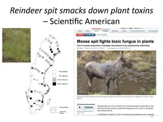 Reindeer	
  spit	
  smacks	
  down	
  plant	
  toxins	
  
–	
  ScienMﬁc	
  American	
  
10	
  
 