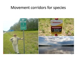Movement	
  corridors	
  for	
  species	
  
22	
  
 