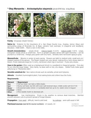 * Otay Manzanita – Arctostaphylos otayensis (ark-toh-STAF-ih-los

oh-tay-EN-sis)

Family: Ericaceae (Heath Family)
Endemic to the mountains of s. San Diego County (e.g., Guatay, Jamul, Otay) and
surrounding areas of Riverside Co. & Baja; volcanic rock outcrops, in chaparral and woodland,
Elevation: 1500-5200'. Plant is rare in the wilds.

Native to:

woody shrub
mature height: 5-15 ft. mature width: 4-8 ft. Large,
evergreen woody shrub or small tree. Form is upright (usually) dense with open branches – can be
pruned to a small tree. Foliage gray-green with tiny hairs. Shreddy bark red-brown aging to gray.

Growth characteristics:

Blooms in winter to early spring. Flowers are light to medium pink, small and urnshaped (typical of the genus). The flower clusters are very dense, making this a very showy plant in
bloom. Fruits relatively large (to ½ inch), red-brown when ripe in summer. Fruits very showy.

Blooms/fruits:

Uses in the garden: Often used as a background shrub in a woodland or chaparral garden. Fine also
for an informal large hedge. Very hardy, so does well on hot, dry slopes.
jelly/syrup or ‘Manzanita cider’.

Edible fruits make good

Sensible substitute for: Non-native shrubs such as camellia, privet and Xylosma.
Attracts: Excellent hummingbird plant; fruit-eating birds and critters love the fruits.
Requirements:
Element
Sun
Soil
Water
Fertilizer
Other

Requirement

Full sun best; can take a little shade.
Rocky soil best, but OK with even well-drained clays; mildly acidic (pH 6.0-7.0)
Occasional water (Zone 1-2 probably best but up to 2); water once in August
None
Pine needle mulch to decrease pH.

Low maintenance. Prune in dry weather to remove dead branches.
pruners between cuts to prevent spread of fungal disease.

Management:

Propagation: from seed: difficult; heat & cold treat

Sterilize

by cuttings: semi-soft wood in fall

Plant/seed sources (see list for source numbers): 13 (seed), 14

11/30/11
© Project SOUND

 