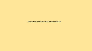 ARCUATE LINE OF RECTUS SHEATH
 