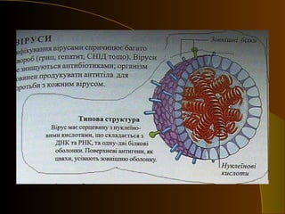Acute respiratory diseases in children | PPT