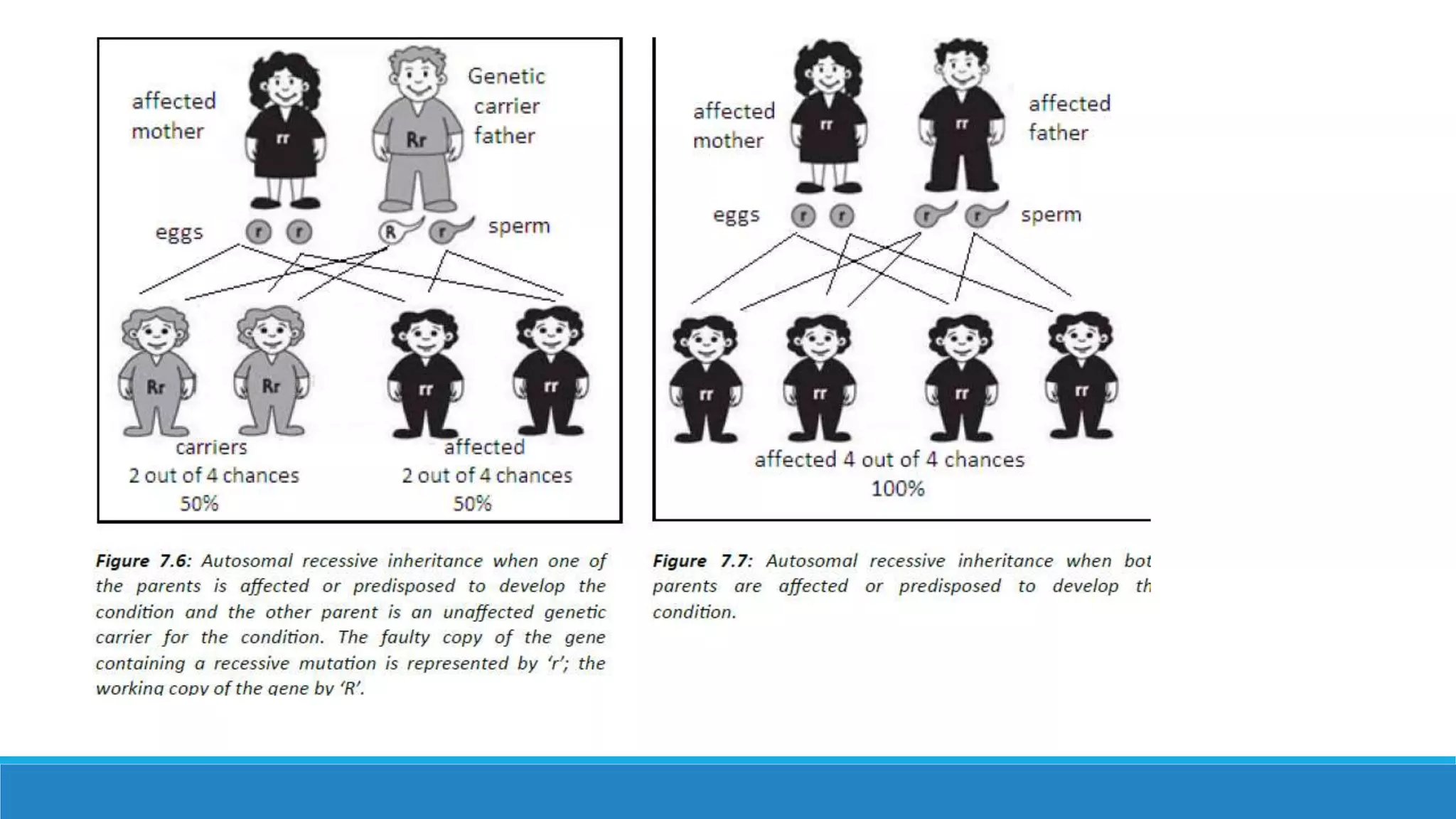 Autosomal recessive diseases | PPTX