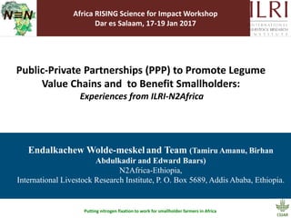 Putting nitrogen fixation to work for smallholder farmers in Africa
Public-Private Partnerships (PPP) to Promote Legume
Value Chains and to Benefit Smallholders:
Experiences from ILRI-N2Africa
Endalkachew Wolde-meskeland Team (Tamiru Amanu, Birhan
Abdulkadir and Edward Baars)
N2Africa-Ethiopia,
International Livestock Research Institute, P. O. Box 5689, Addis Ababa, Ethiopia.
Africa RISING Science for Impact Workshop
Dar es Salaam, 17-19 Jan 2017
 