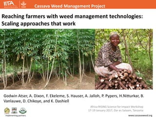 www.cassavaweed.org
Cassava Weed Management Project
Implementing partners
Reaching farmers with weed management technologies:
Scaling approaches that work
Godwin Atser, A. Dixon, F. Ekeleme, S. Hauser, A. Jalloh, P. Pypers, H.Nitturkar, B.
Vanlauwe, D. Chikoye, and K. Dashiell
Africa RISING Science for Impact Workshop
17-19 January 2017, Dar es Salaam, Tanzania
 