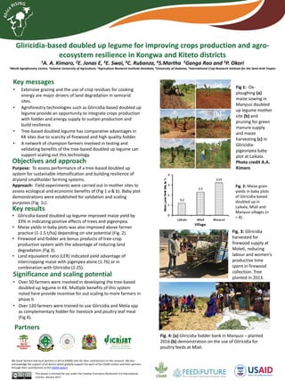 Gliricidia-based doubled up legume for improving crops production and agro-
ecosystem resilience in Kongwa and Kiteto districts
1A. A. Kimaro, 2E. Jonas E, 3E. Swai, 4C. Rubanza, 4S.Martha 5Ganga Rao and 5P. Okori
1World Agroforestry Centre, 2Sokoine University of Agriculture, 3Agriculture Research Institute-Hombolo, 4University of Dodoma, 5International Crop Research Institute for the Semi-Arid Tropics
Key messages
• Extensive grazing and the use of crop residues for cooking
energy are major drivers of land degradation in semiarid
sites.
• Agroforestry technologies such as Gliricidia-based doubled up
legume provide an opportunity to integrate crops production
with fodder and energy supply to sustain production and
build resilience.
• Tree-based doubled legume has comparative advantages in
KK sites due to scarcity of firewood and high quality fodder.
• A network of champion farmers involved in testing and
validating benefits of the tree-based doubled up legume can
support scaling out this technology.
This poster is licensed for use under the Creative Commons Attribution 4.0 International
Licence. January 2017
We thank farmers and local partners in Africa RISING sites for their contributions to this research. We also
acknowledge the support of all donors which globally support the work of the CGIAR centers and their partners
through their contributions to the CGIAR system
Key results
• Gliricidia-based doubled up legume improved maize yield by
33% in indicating positive effects of trees and pigeonpea.
• Maize yields in baby plots was also improved above farmer
practice (1-1.5 t/ha) depending on site potential (Fig. 2).
• Firewood and fodder are bonus products of tree-crop
production system with the advantage of reducing land
degradation (Fig 3).
• Land equivalent ratio (LER) indicated yield advantage of
intercropping maize with pigenpea alone (1.76) or in
combination with Gliricidia (2.25).
Significance and scaling potential
• Over 50 farmers were involved in developing the tree-based
doubled up legume in KK. Multiple benefits of this system
noted here provide incentive for out scaling to more farmers in
phase II.
• Over 120 farmers were trained to use Gliricidia and Melia spp
as complementary fodder for livestock and poultry leaf meal
(Fig 4).
Fig. 4: (a) Gliricidia fodder bank in Manyusi – planted
2016 (b) demonstration on the use of Gliricidia for
poultry feeds at Mlali.
Objectives and approach
Purpose: To assess performance of a tree-based doubled up
system for sustainable intensification and building resilience of
dryland smallholder farming systems.
Approach: Field experiments were carried out in mother sites to
assess ecological and economic benefits of (Fig 1 a & b). Baby plot
demonstrations were established for validation and scaling
purposes (Fig. 1c).
(a)
(c)
(b)
Fig 1: Ox-
ploughing (a)
maize sowing in
Manyusi doubled
up legume mother
site (b) and
pruning for green
manure supply
and maize
harvesting (c) in
Gliricidia-
pigeonpea baby
plot at Laikala.
Photo credit A.A.
Kimaro
Fig. 2: Maize grain
yields in baby plots
of Gliricidia-based
doubled up in
Laikala, Mlali and
Manyusi villages (n
= 8) .
Fig. 3: Gliricidia
harvested for
firewood supply at
Moleti, reducing
labour and women’s
productive time
spent in firewood
collection. Tree
planted in 2013.
(a) (b)
Partners
 