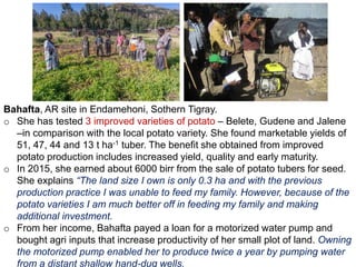 Africa RISING in the Ethiopian highlands: Some phase I achievements