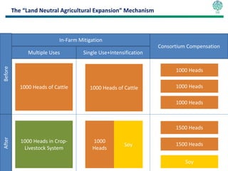 The “Land Neutral Agricultural Expansion” Mechanism



                            In-Farm Mitigation
                                                                   Consortium Compensation
               Multiple Uses          Single Use+Intensification
Before




                                                                         1000 Heads

            1000 Heads of Cattle        1000 Heads of Cattle             1000 Heads

                                                                         1000 Heads



                                                                         1500 Heads
After




            1000 Heads in Crop-          1000
                                                       Soy               1500 Heads
             Livestock System            Heads

                                                                             Soy
 