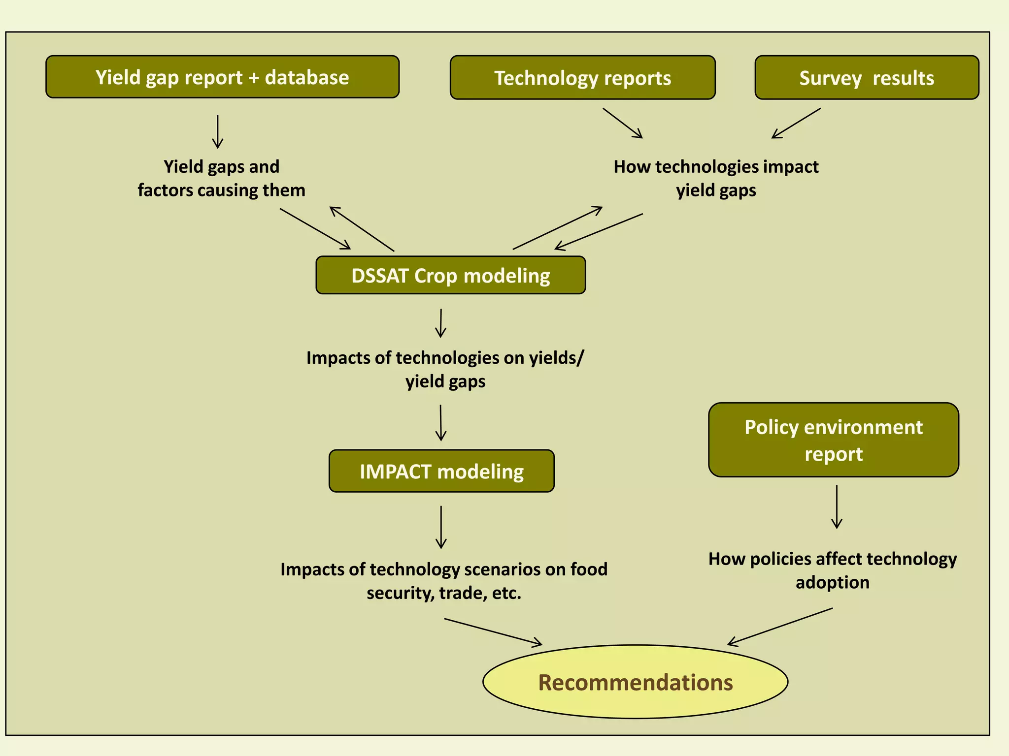 Yield gap report + database                      Technology reports                 Survey results


       Yield gaps and                                           How technologies impact
    factors causing them                                               yield gaps



                                DSSAT Crop modeling


                           Impacts of technologies on yields/
                                       yield gaps

                                                                              Policy environment
                                                                                     report
                                 IMPACT modeling


                                                                          How policies affect technology
                    Impacts of technology scenarios on food
                                                                                    adoption
                              security, trade, etc.



                                                       Recommendations
 