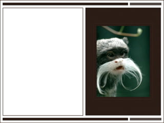 Présentation Ardesi 14 février 2011