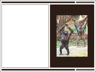 Présentation Ardesi 14 février 2011