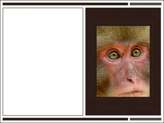 Présentation Ardesi 14 février 2011