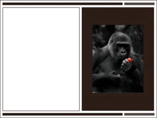 Présentation Ardesi 14 février 2011