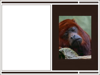 Présentation Ardesi 14 février 2011