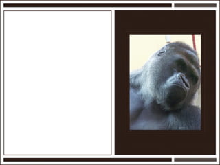 Présentation Ardesi 14 février 2011