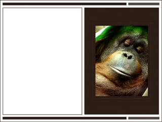 Présentation Ardesi 14 février 2011