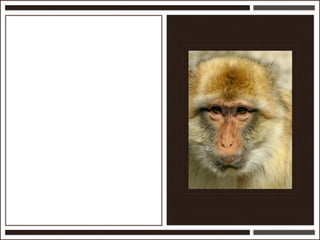 Présentation Ardesi 14 février 2011