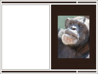 Présentation Ardesi 14 février 2011