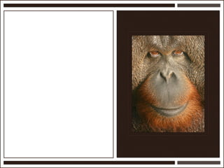 Présentation Ardesi 14 février 2011