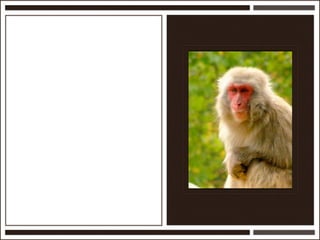 Présentation Ardesi 14 février 2011