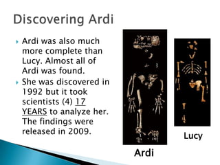    Ardi was also much
    more complete than
    Lucy. Almost all of
    Ardi was found.
   She was discovered in
    1992 but it took
    scientists (4) 17
    YEARS to analyze her.
    The findings were
    released in 2009.
                                   Lucy

                            Ardi
 
