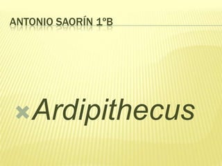 ANTONIO SAORÍN 1ºB

Ardipithecus

 