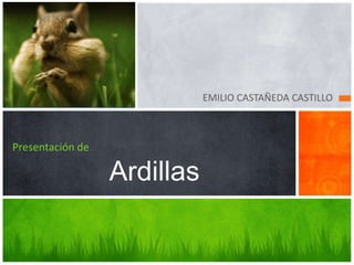 EMILIO CASTAÑEDA CASTILLO



Presentación de

                  Ardillas
 
