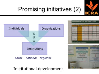 Promising initiatives (2) Institutional development Individuals Organisations Institutions K S A Local – national - regional  