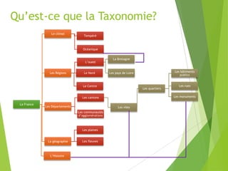 Qu’est-ce que la Taxonomie?
Le climat

Tempéré

Océanique

L’ouest
Les Régions

Le Nord

La Bretagne

Le Centre

Les quartiers

Les Départements

Les viles
Les communautés
d’agglomérations

Les plaines
La géographie

L’Histoire

Les fleuves

Les rues
Les monuments

Les cantons
La France

Les bâtiments
publics

Les pays de Loire

 