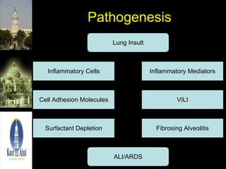 Pathogenesis Lung Insult Inflammatory Cells Inflammatory Mediators Cell Adhesion Molecules VILI Surfactant Depletion Fibrosing Alveolitis ALI/ARDS 