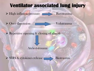 Ventilator associated lung injury
 High inflation pressure Barotrauma
 Over distension Volutrauma
 Repetitive opening & closing of alveoli
Atelect-trauma
 SIRS & cytokines release Biotrauma.
 