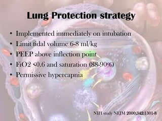 Lung Protection strategy
• Implemented immediately on intubation
• Limit tidal volume 6-8 ml/kg
• PEEP above inflection point
• FiO2 <0.6 and saturation (88-90%)
• Permissive hypercapnia
NIH study NEJM 2000;342:1301-8
 