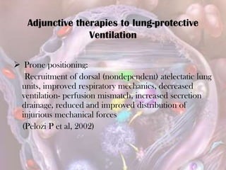  Prone positioning:
Recruitment of dorsal (nondependent) atelectatic lung
units, improved respiratory mechanics, decreased
ventilation- perfusion mismatch, increased secretion
drainage, reduced and improved distribution of
injurious mechanical forces
(Pelozi P et al, 2002)
Adjunctive therapies to lung-protective
Ventilation
 