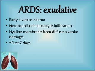 • Early alveolar edema
• Neutrophil-rich leukocyte infiltration
• Hyaline membrane from diffuse alveolar
damage
• ~First 7 days
ARDS: exudative
 