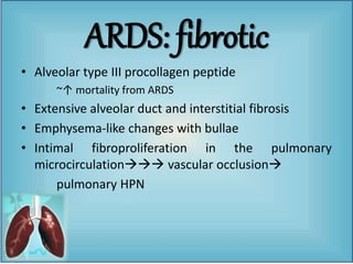 • Alveolar type III procollagen peptide
~↑ mortality from ARDS
• Extensive alveolar duct and interstitial fibrosis
• Emphysema-like changes with bullae
• Intimal fibroproliferation in the pulmonary
microcirculation vascular occlusion
pulmonary HPN
ARDS: fibrotic
 