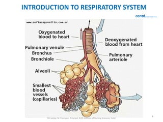 INTRODUCTION TO RESPIRATORY SYSTEM
                                                                                      contd…………




                                                                                            4
       Mr sanjay. M. Peerapur, Principal, KLES Institute of Nursing Sciences, Hubli
 