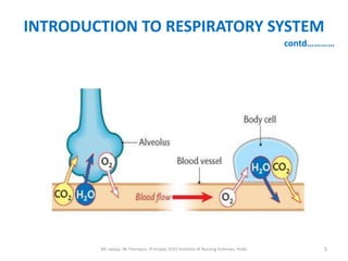 INTRODUCTION TO RESPIRATORY SYSTEM
                                                                                       contd…………




        Mr sanjay. M. Peerapur, Principal, KLES Institute of Nursing Sciences, Hubli          5
 