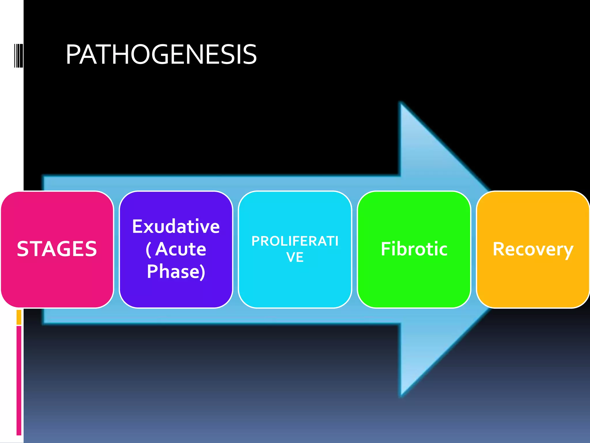 PATHOGENESIS
STAGES
Exudative
( Acute
Phase)
PROLIFERATI
VE Fibrotic Recovery
 