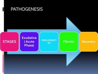 PATHOGENESIS
STAGES
Exudative
( Acute
Phase)
PROLIFERATI
VE Fibrotic Recovery
 