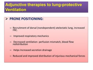  PRONE POSITIONING:
– Recruitment of dorsal (nondependent) atelectatic lung, increased
FRC.
– Improved respiratory mechanics
– Decreased ventilation- perfusion mismatch, blood flow
redistribution
– Helps Increased secretion drainage
– Reduced and improved distribution of injurious mechanical forces
Adjunctive therapies to lung-protective
Ventilation
 