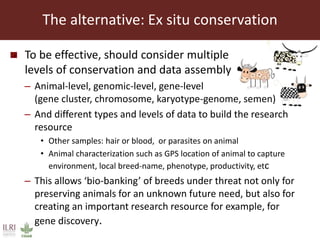 The sustainable use of animal genetics in developing countries