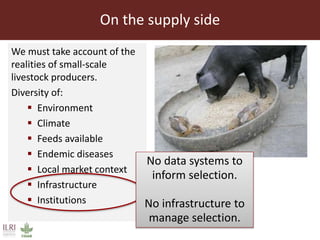 The sustainable use of animal genetics in developing countries