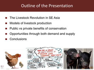 The sustainable use of animal genetics in developing countries