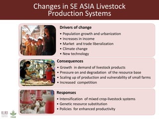 The sustainable use of animal genetics in developing countries