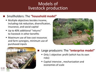 The sustainable use of animal genetics in developing countries