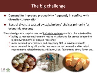 The sustainable use of animal genetics in developing countries