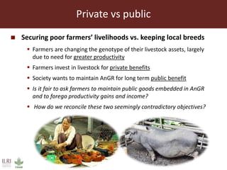 The sustainable use of animal genetics in developing countries