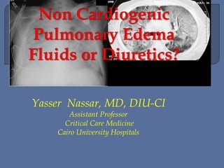 Yasser Nassar, MD, DIU-CI
Assistant Professor
Critical Care Medicine
Cairo University Hospitals
 