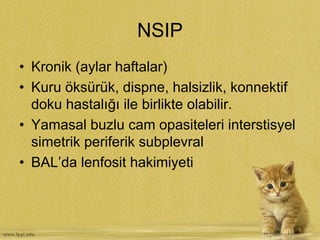 NSIP
• Kronik (aylar haftalar)
• Kuru öksürük, dispne, halsizlik, konnektif
doku hastalığı ile birlikte olabilir.
• Yamasal buzlu cam opasiteleri interstisyel
simetrik periferik subplevral
• BAL’da lenfosit hakimiyeti
 
